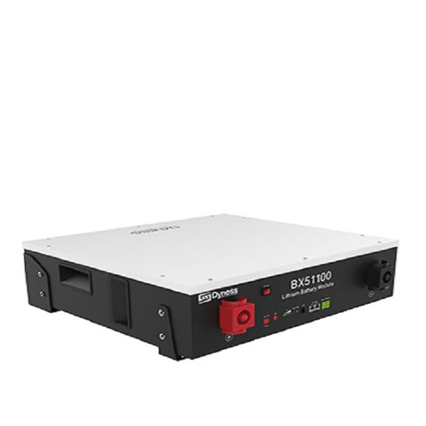 Dyness 51.2v 5.12kwh lithium battery bx51100
